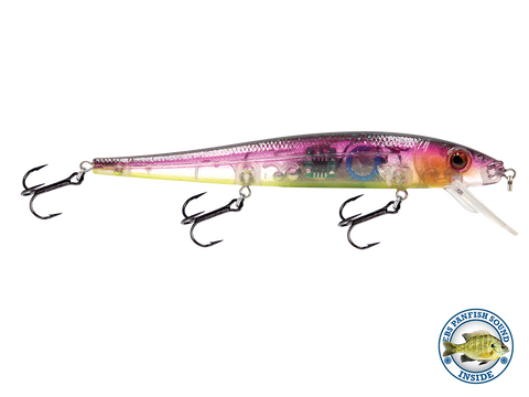 EBS Walleye 136