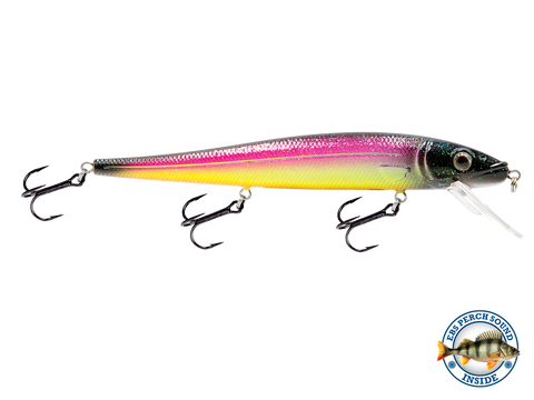 EBS Walleye 136