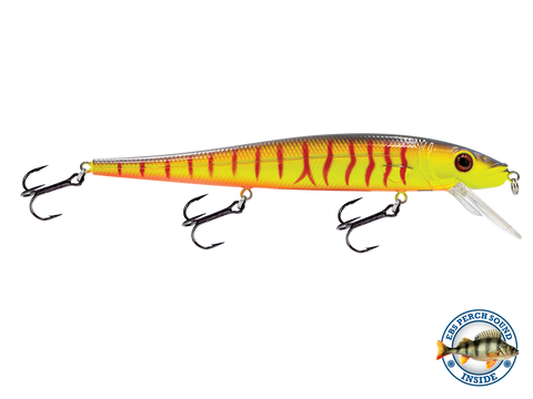 EBS Walleye 136