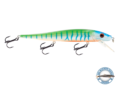 EBS Walleye 136