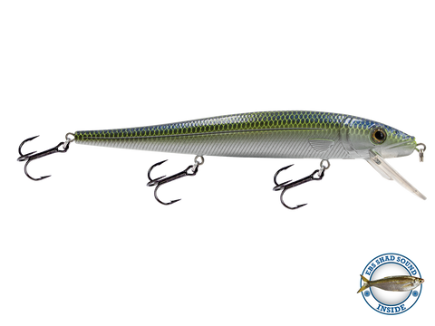 EBS Walleye 136