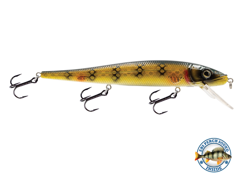 EBS Walleye 136