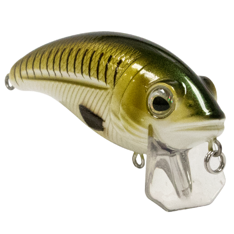 Bull Nose