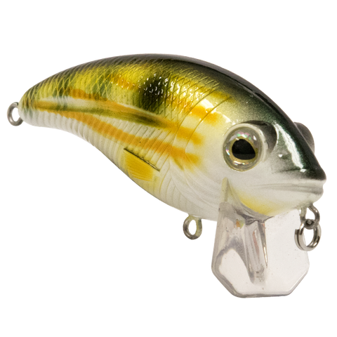 bullnose fishing lure Musky Innovations The BULL NOSEs shallow MONSTERBASS Bull Nose SW Pinfish