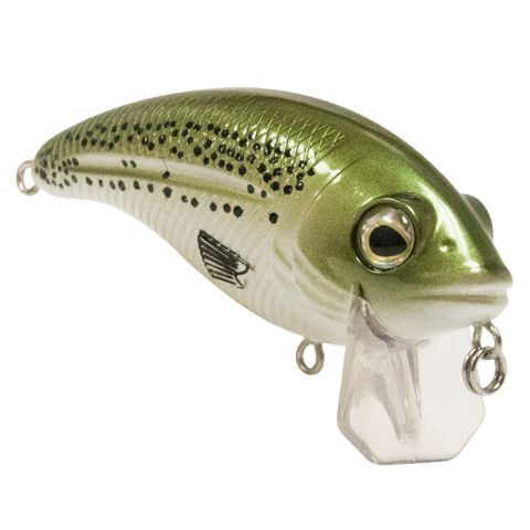 Bull Nose