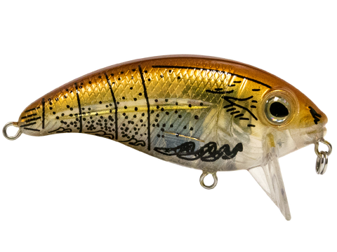 Bull Nose