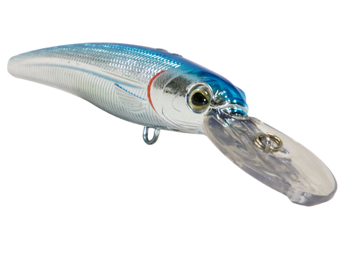 Voyager