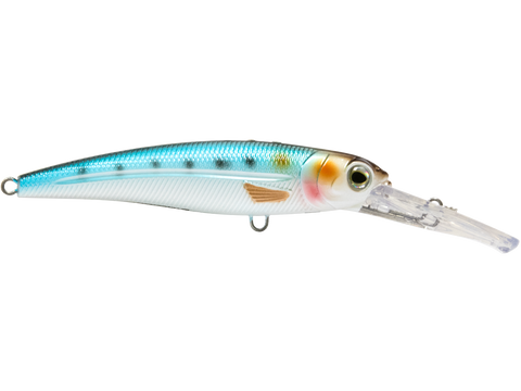 Voyager 15 – Livingston Lures